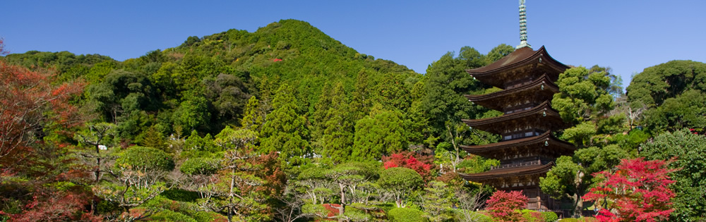 瑠璃光寺五重塔紅葉