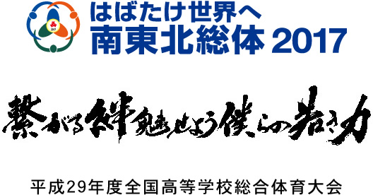 平成29年度全国高等学校総合体育大会