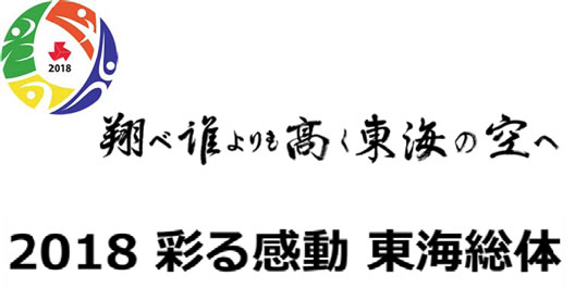 平成29年度全国高等学校総合体育大会